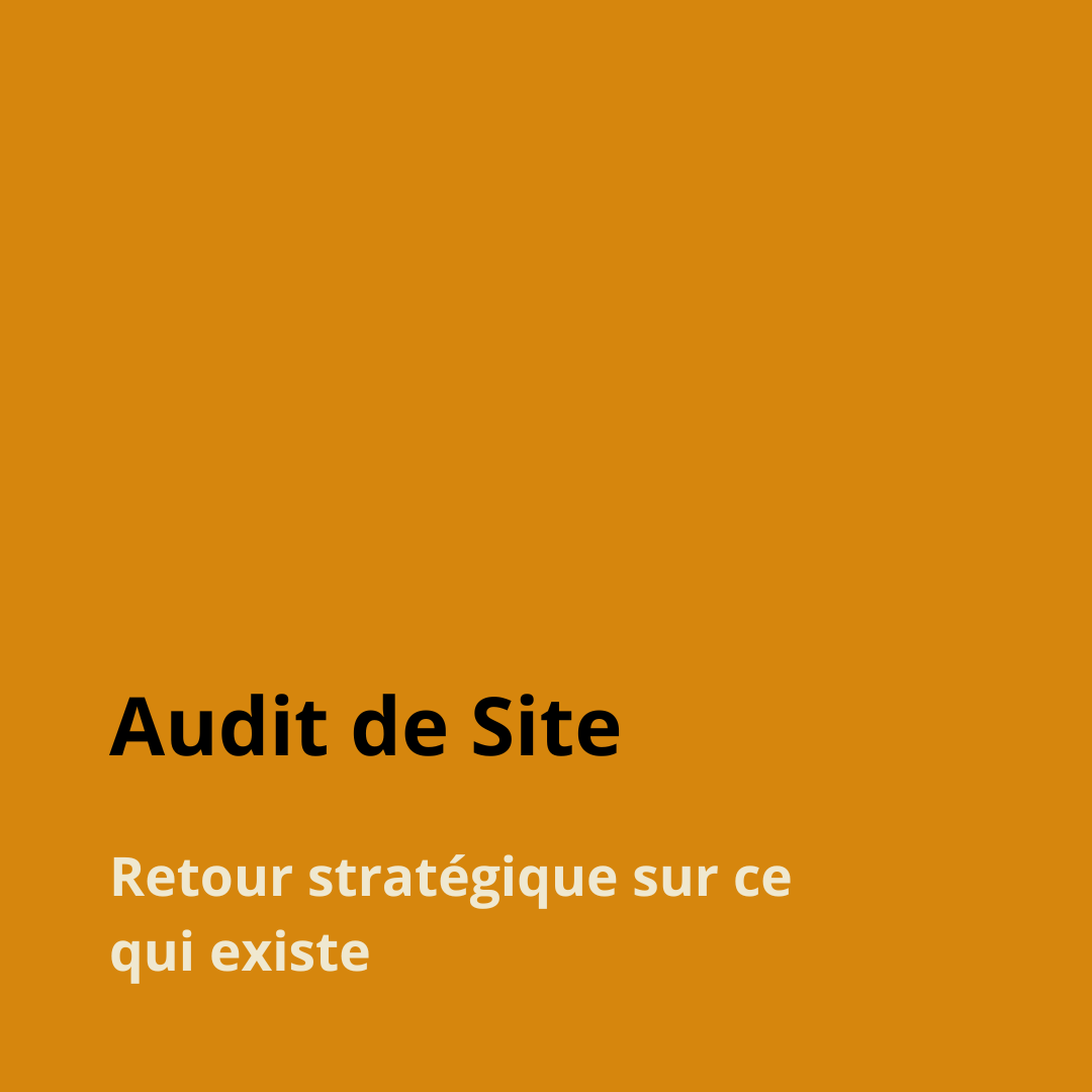 optionnel - audit de site