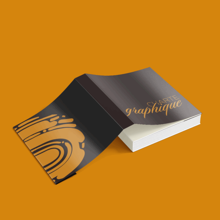 création visuelle charte graphique